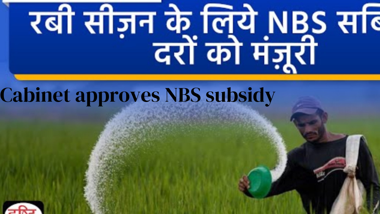 NBS Subsidy